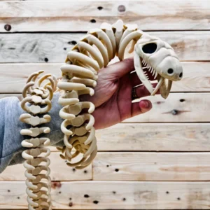 а-змия-скелет